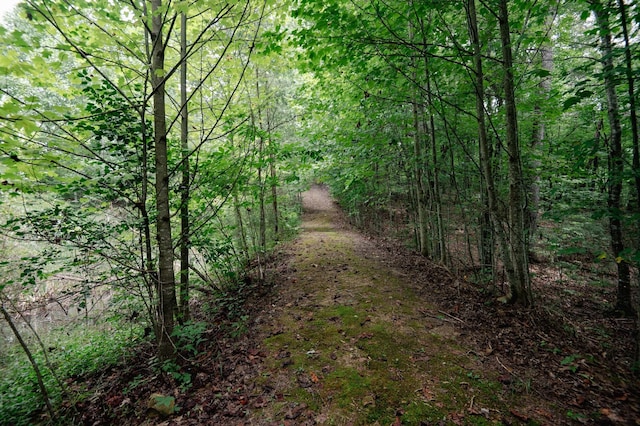 view of landscape