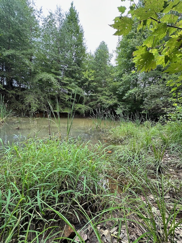 view of local wilderness with a water view