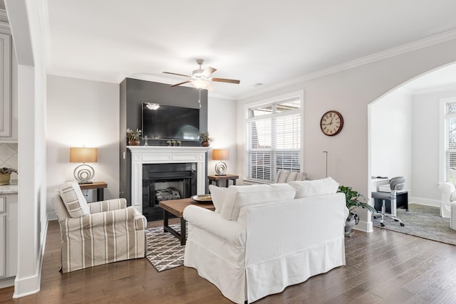 living room featuring dark hardwood / wood-style floors, ceiling fan, and ornamental molding