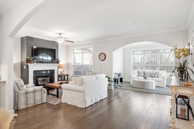 living room with crown molding, ceiling fan, and dark hardwood / wood-style floors