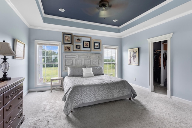 carpeted bedroom with a walk in closet, a raised ceiling, ceiling fan, and ornamental molding