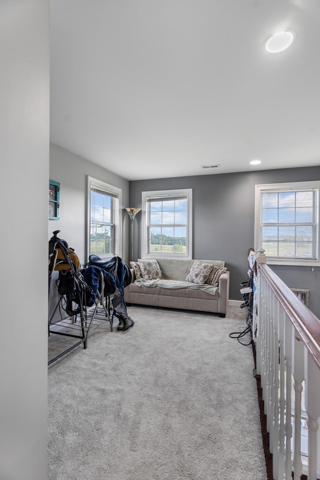 carpeted living room with plenty of natural light