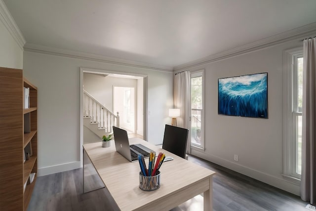 office area with dark hardwood / wood-style flooring and crown molding