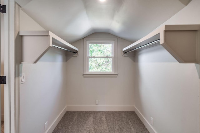 walk in closet featuring carpet floors and lofted ceiling