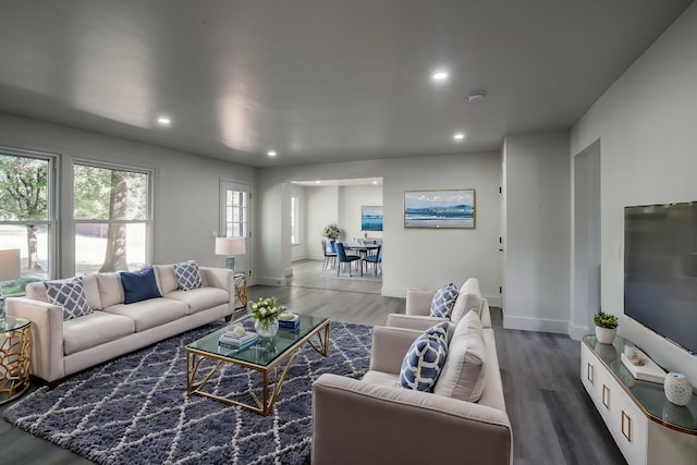 living room with dark hardwood / wood-style floors