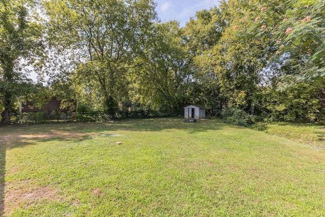 view of yard featuring a shed