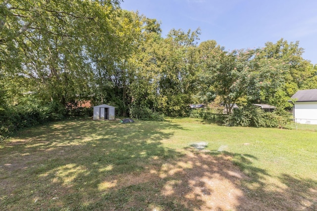 view of yard featuring a storage unit