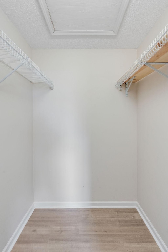 spacious closet featuring wood-type flooring