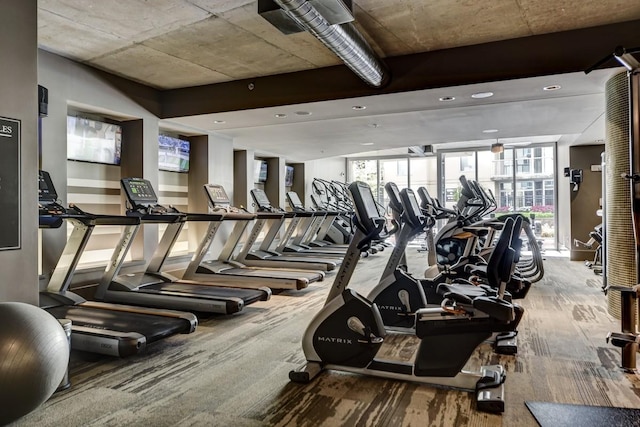 exercise room featuring carpet flooring