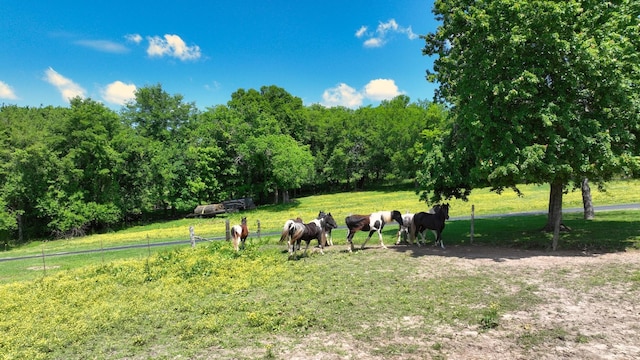 surrounding community featuring a rural view