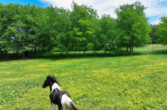 view of yard with a rural view