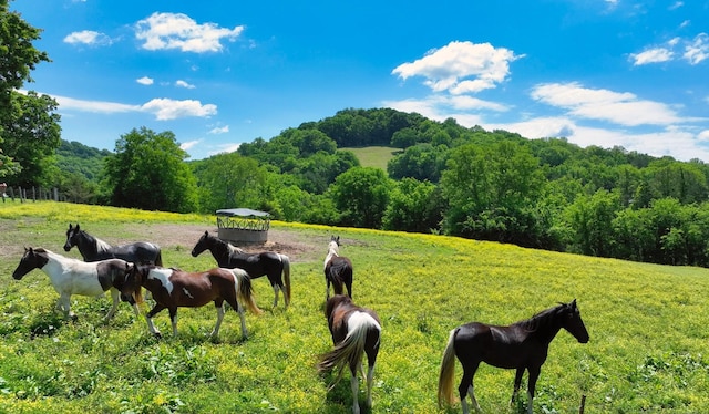 view of home's community with a rural view