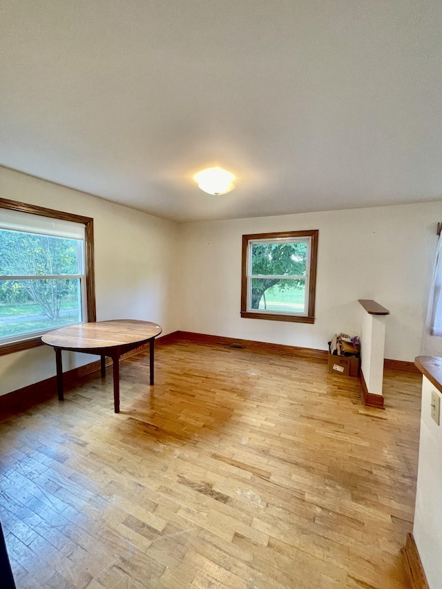 interior space featuring a wealth of natural light and light wood-type flooring