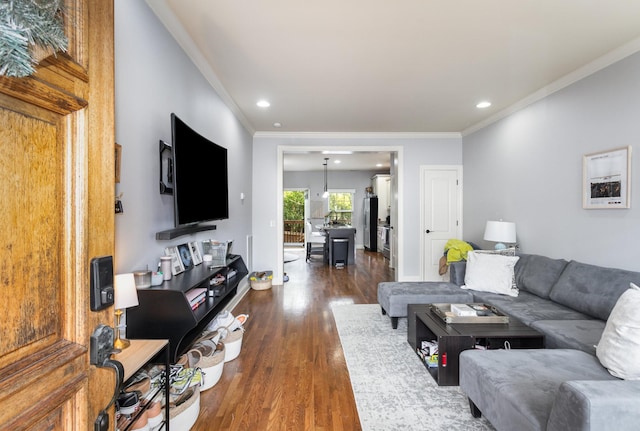 living room with crown molding and dark wood-type flooring