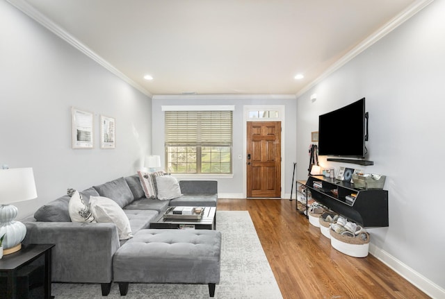 living room with hardwood / wood-style flooring and crown molding