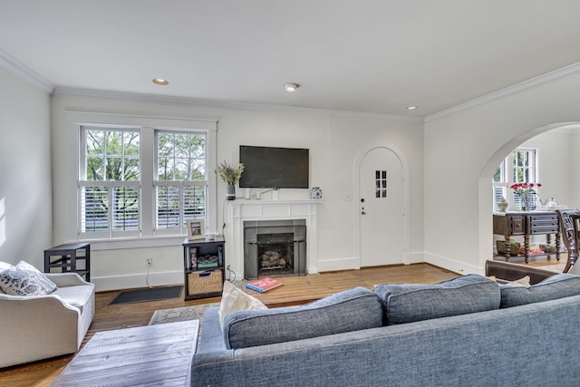 living room with a fireplace, wood-type flooring, and ornamental molding