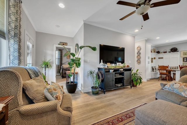 living room featuring ceiling fan, light wood-type flooring, and ornamental molding