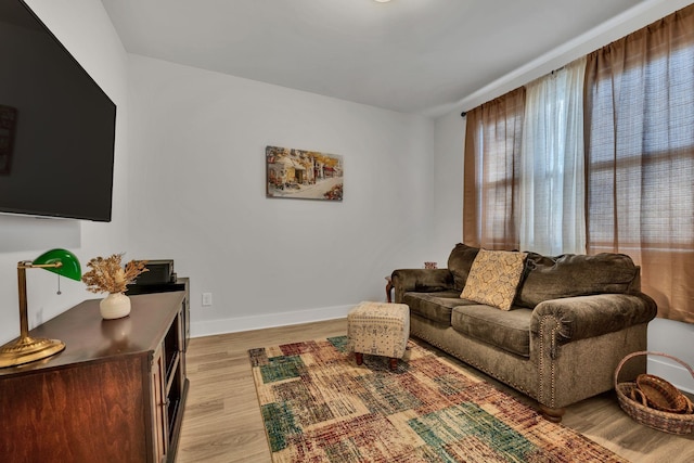 living room featuring light hardwood / wood-style flooring