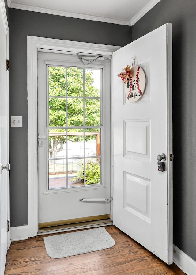 doorway featuring crown molding and dark wood-type flooring