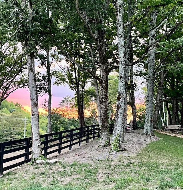 view of yard at dusk