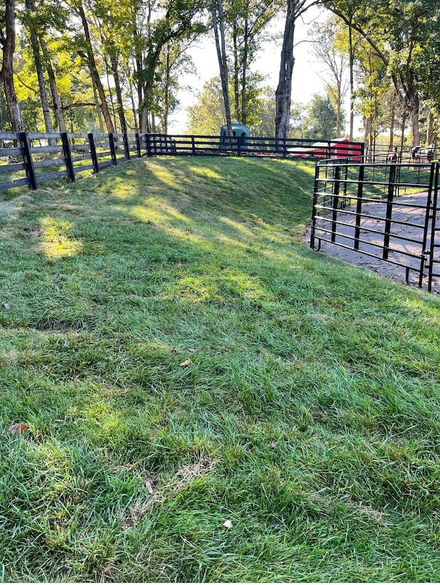 view of yard featuring a rural view