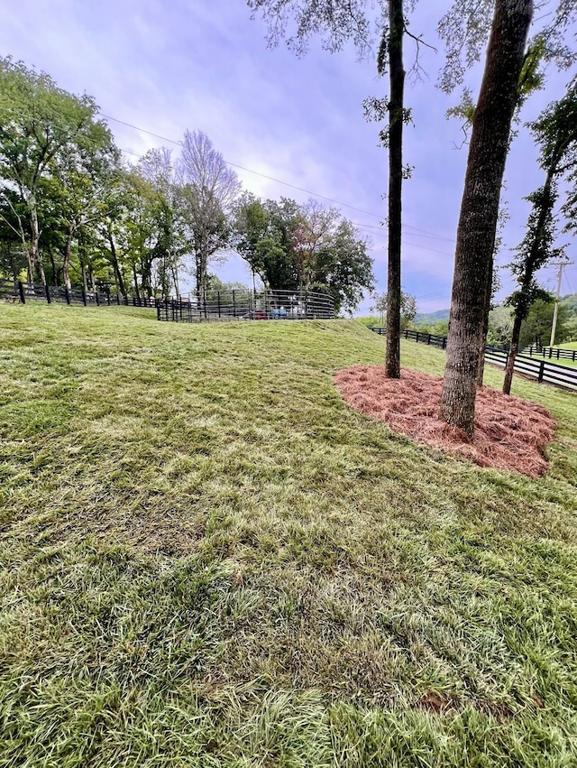 view of yard featuring a rural view