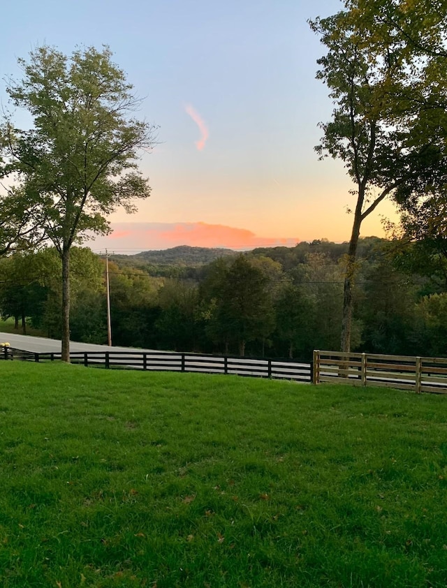 view of yard at dusk