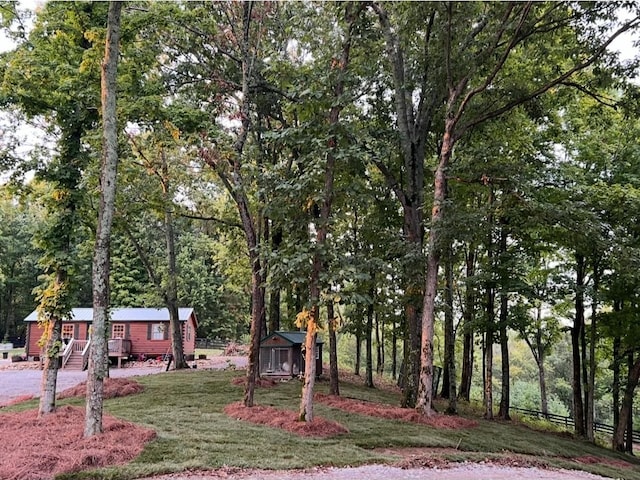 view of yard with a storage unit