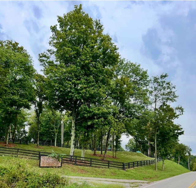 view of property's community featuring a yard and a rural view