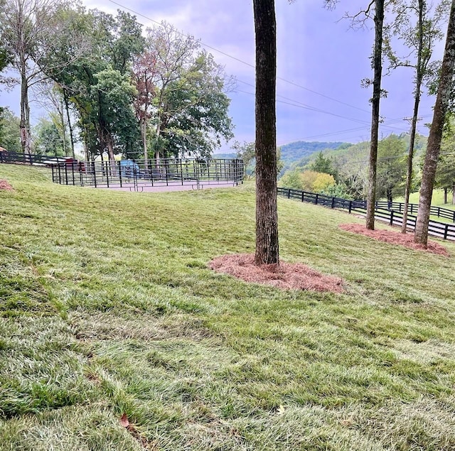 view of yard with a rural view