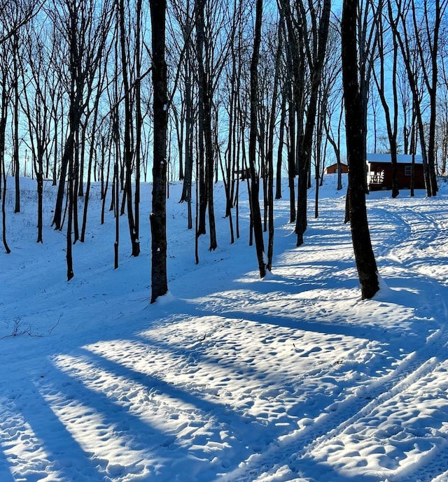 view of snowy yard