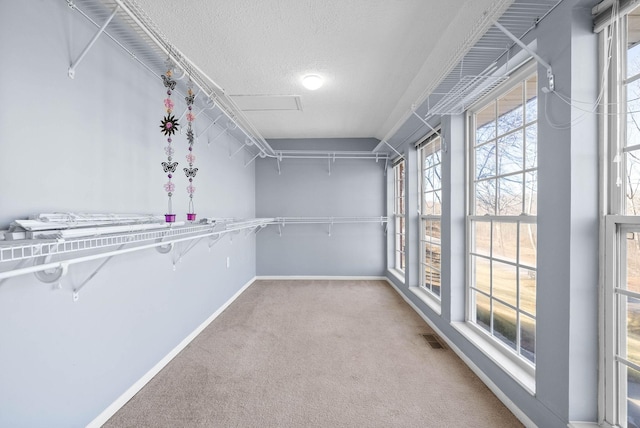 walk in closet with carpet flooring and visible vents