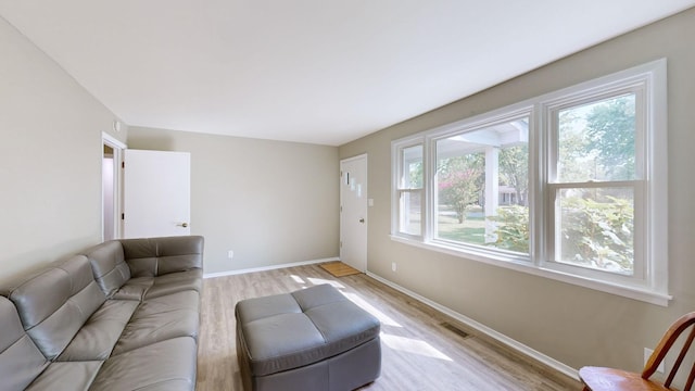 living room with light hardwood / wood-style flooring