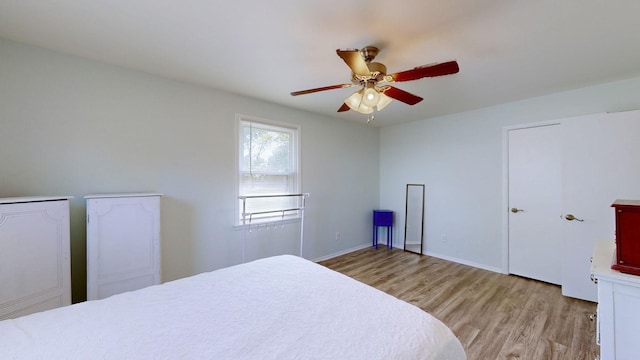 bedroom with ceiling fan, two closets, and light wood-type flooring