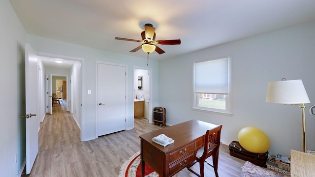 office featuring light hardwood / wood-style flooring and ceiling fan