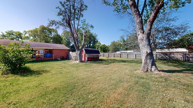 view of yard featuring a storage shed