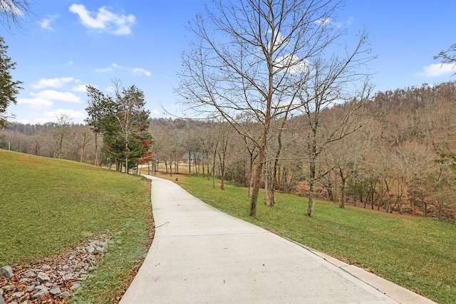 view of property's community featuring a lawn