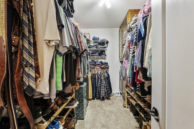 walk in closet featuring carpet floors