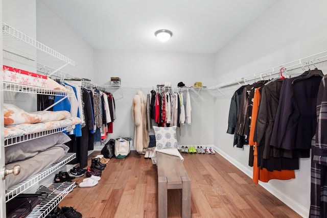 walk in closet with hardwood / wood-style floors