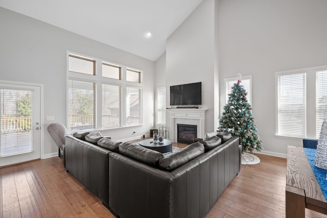 living room featuring high vaulted ceiling and light wood-type flooring