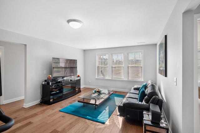 living room featuring wood-type flooring