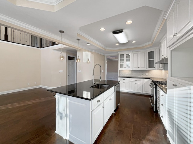 kitchen featuring sink, an island with sink, a tray ceiling, white cabinets, and appliances with stainless steel finishes