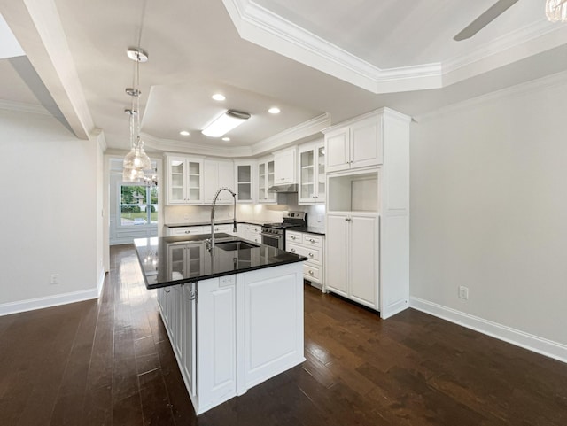 kitchen featuring a tray ceiling, gas stove, ornamental molding, and a sink