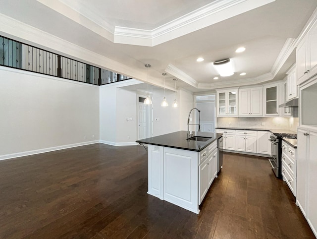 kitchen featuring dark wood finished floors, appliances with stainless steel finishes, and a raised ceiling