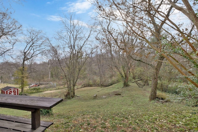 view of yard with an outbuilding