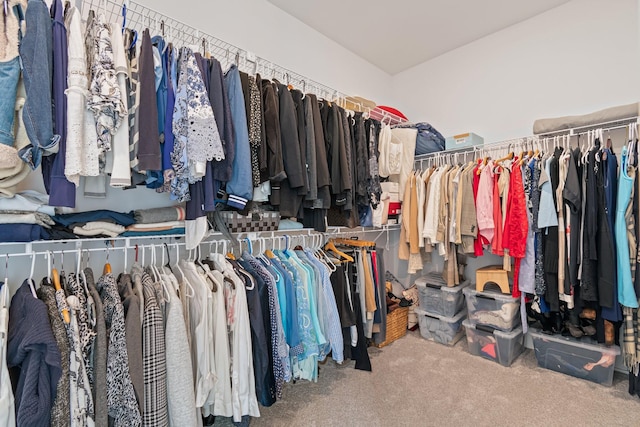 spacious closet featuring carpet floors