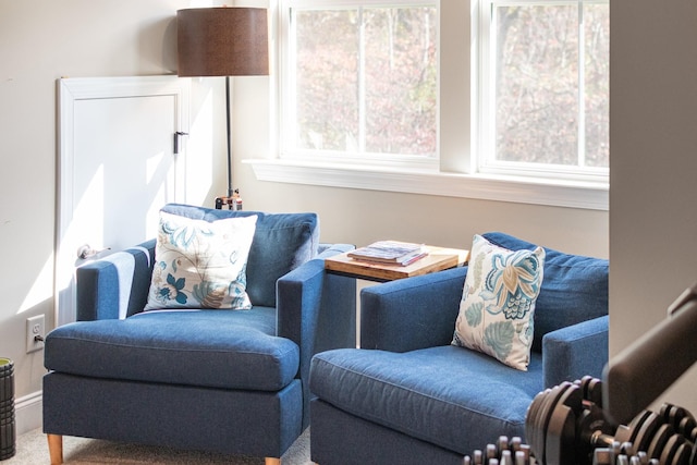 sitting room with a wealth of natural light and carpet flooring