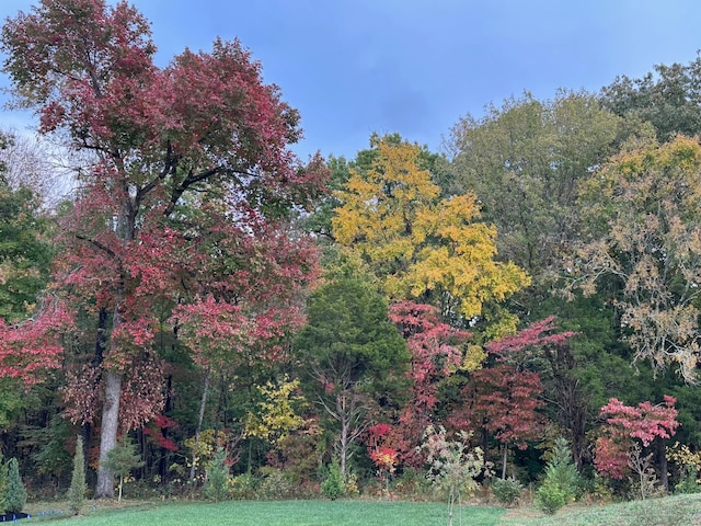 view of community with a forest view