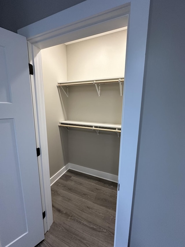 spacious closet featuring dark wood-type flooring