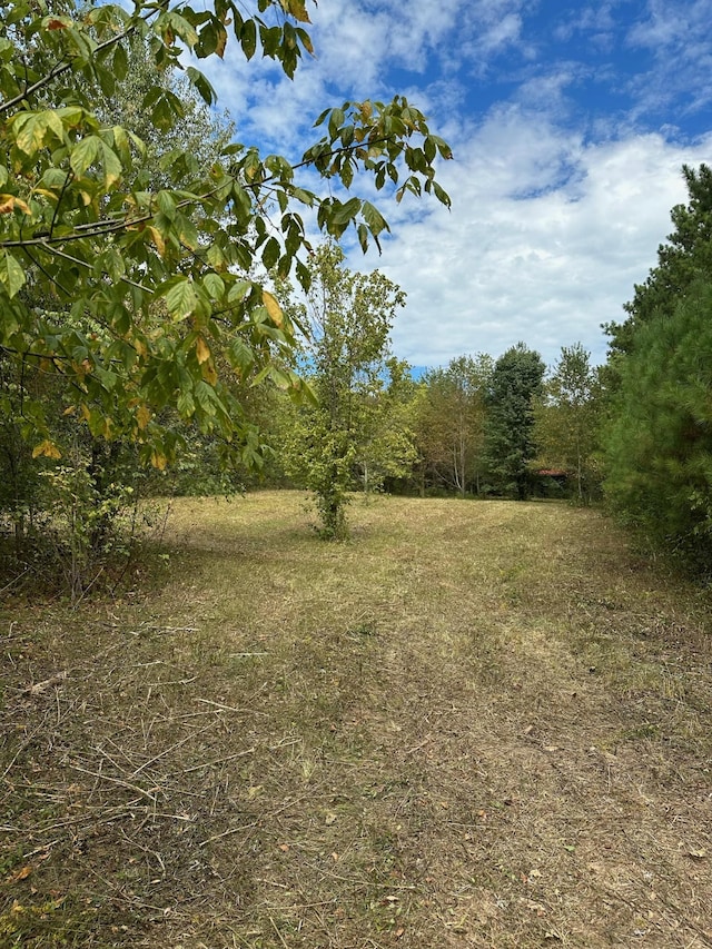 0 Eudailey Covington Rd, College Grove TN, 37046 land for sale